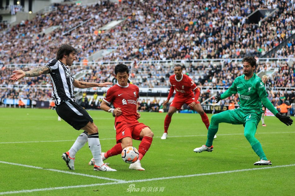 高的期望 高的期望